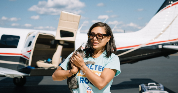 Flying Cats with Sasha Bee