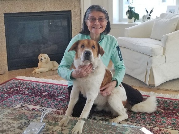 Update from Animal Rescue League of Greater Portland