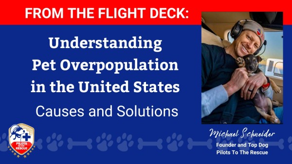 Understanding Pet Overpopulation in the Southeast: