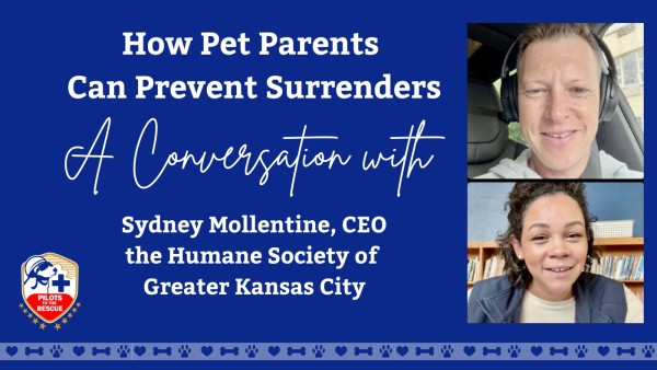 How Pet Parents Can Prevent Surrenders