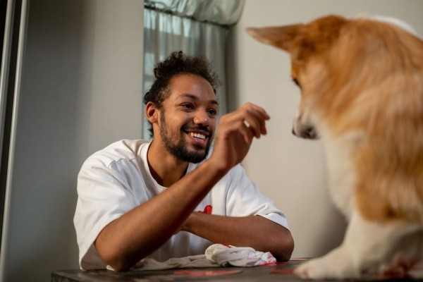 Caring for Critters: Get Involved in Looking After Unwanted Pets