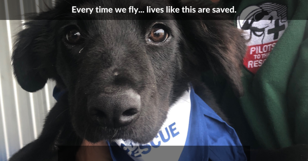 Employer Matching Gifts DOUBLE the Impact of Your Donation