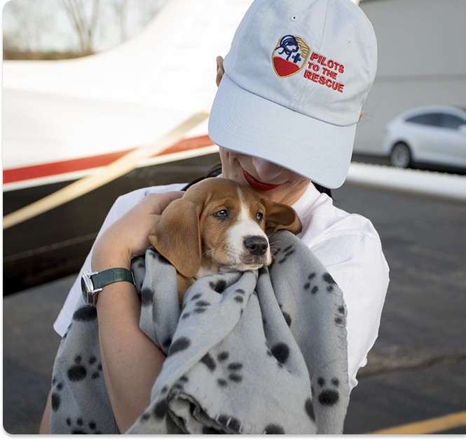 Woman in Pilots to the Rescue cap holding a puppy