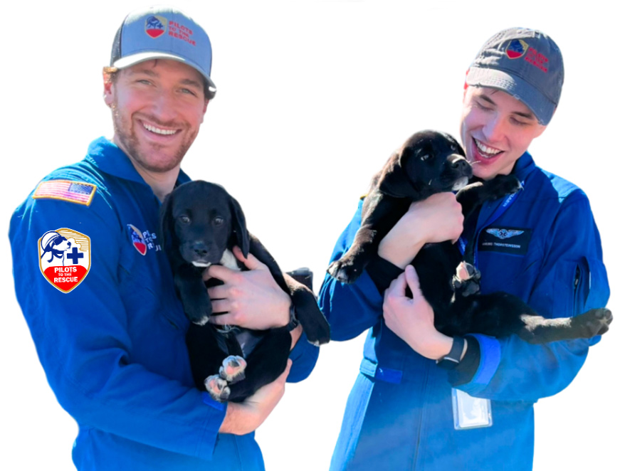 2 PTTR pilots in flight suits holding black lab puppies