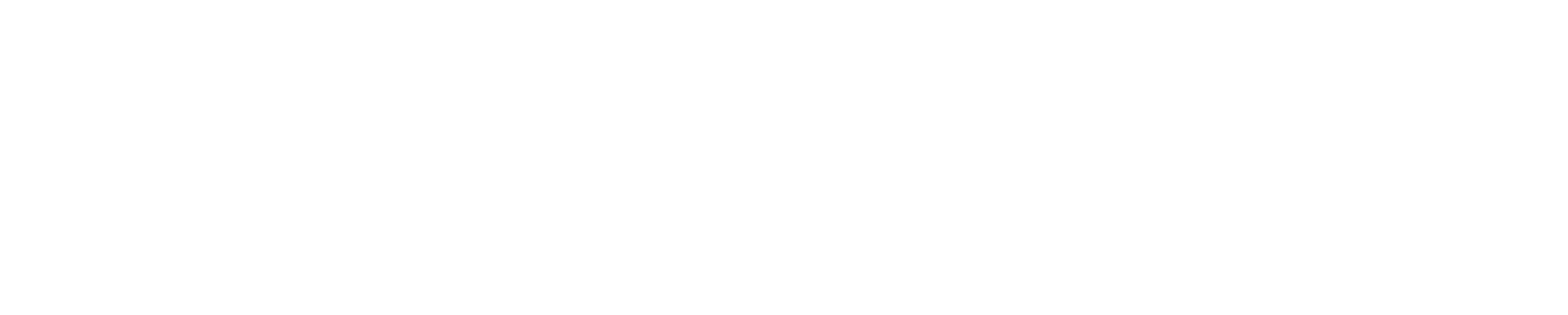 Michael Schneider signature