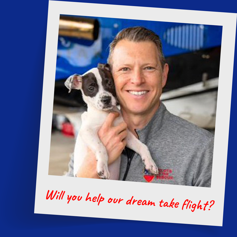 Founder Michael Schneider holding a puppy