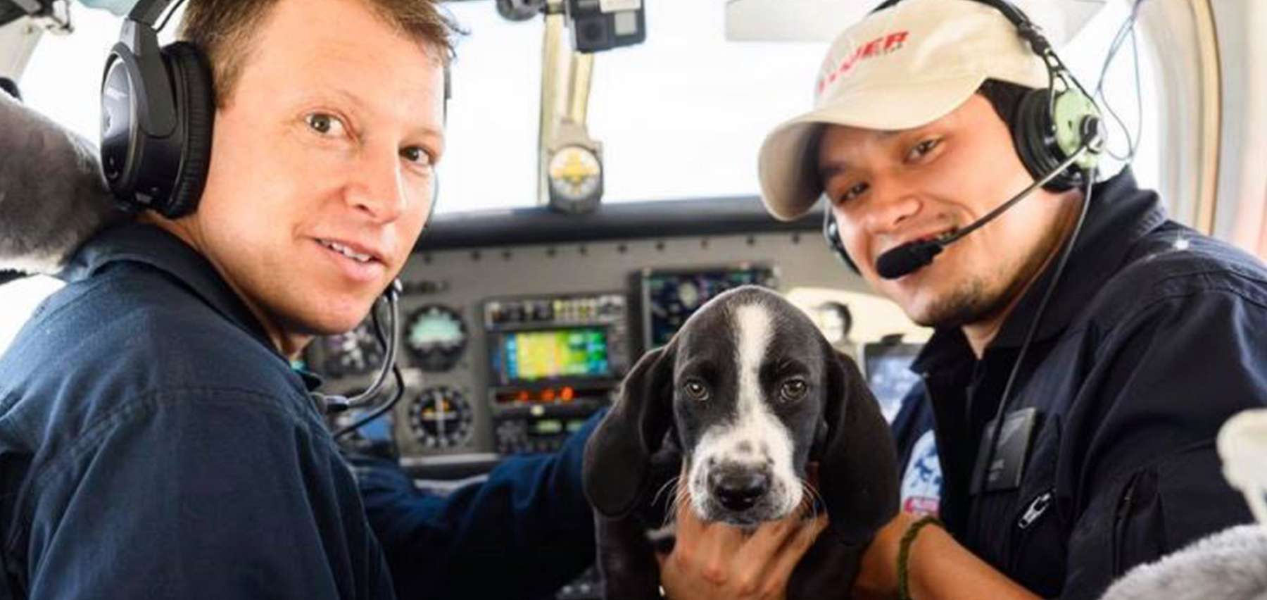 Tucson Dog When Pets Fly Pilots To The Rescue
