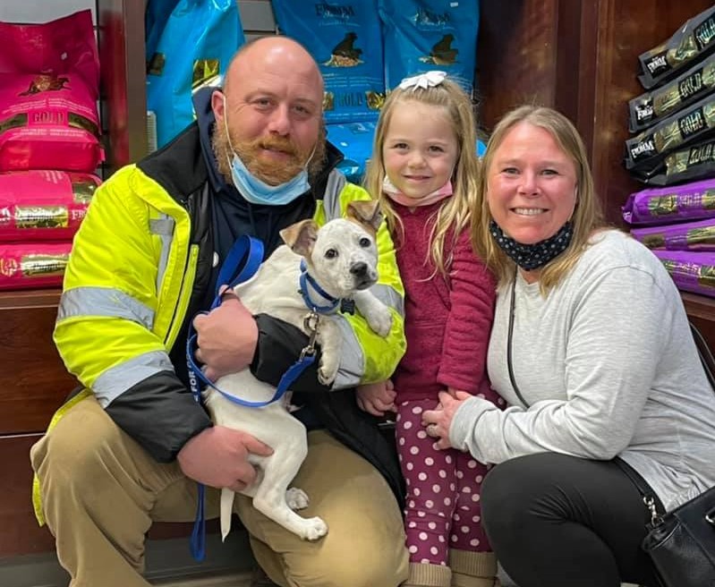 Heartwarming Adoption Photos from Home For Good Dog Rescue